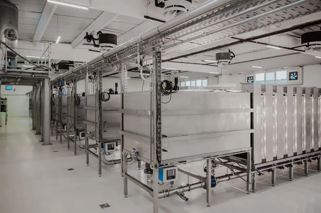 Industriehalle, links sind mehrere Algenproduktionslinien, weiße rechteckige Tröge auf metallenen Beinen, die durch Rohre verbunden scheinen. Es ist hell in der Halle.