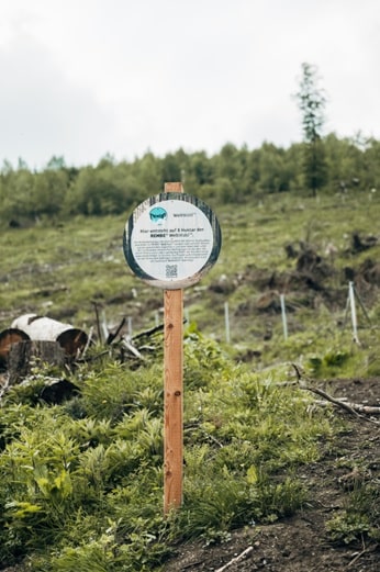 Ein Schild mit dem Projekt WeltWald der Rembe GmbH aus Brilon steht in einem Aufforstungsort.