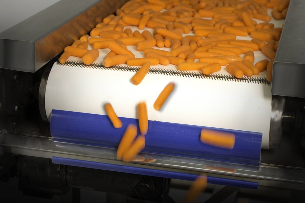 Geschälte Karotten fallen von einem weißen Förderband an dem unten ein Bandabstreifer für Sauberkeit sorgt.