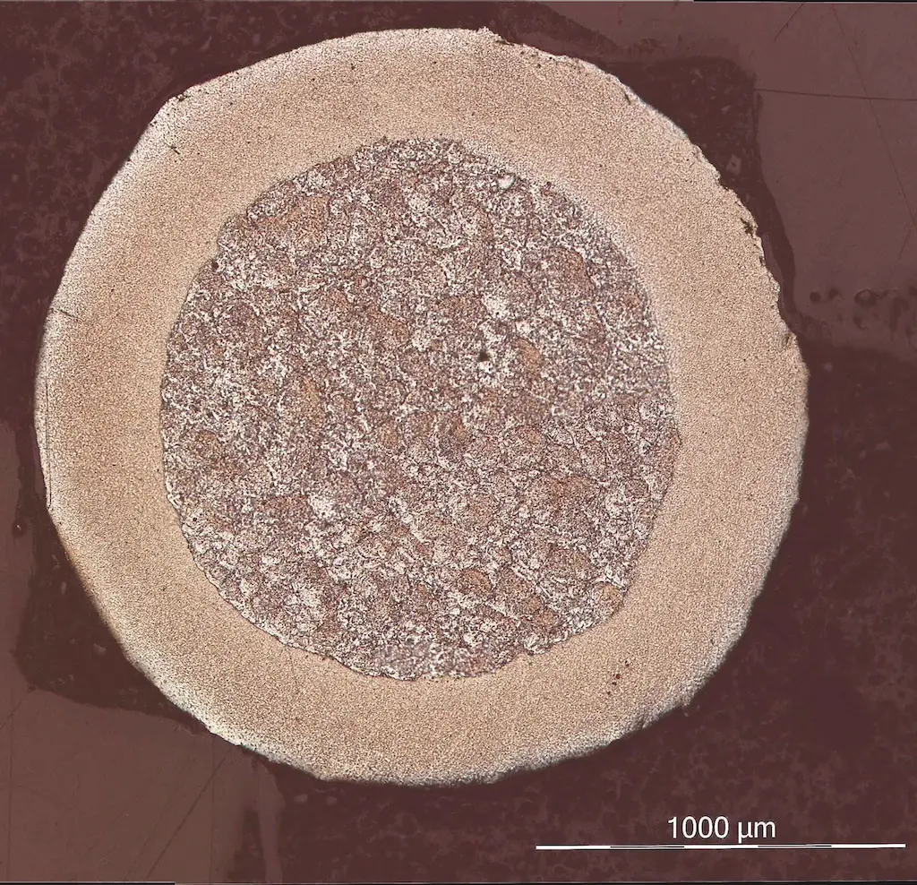 Microskopaufnahme von DURMAT ON