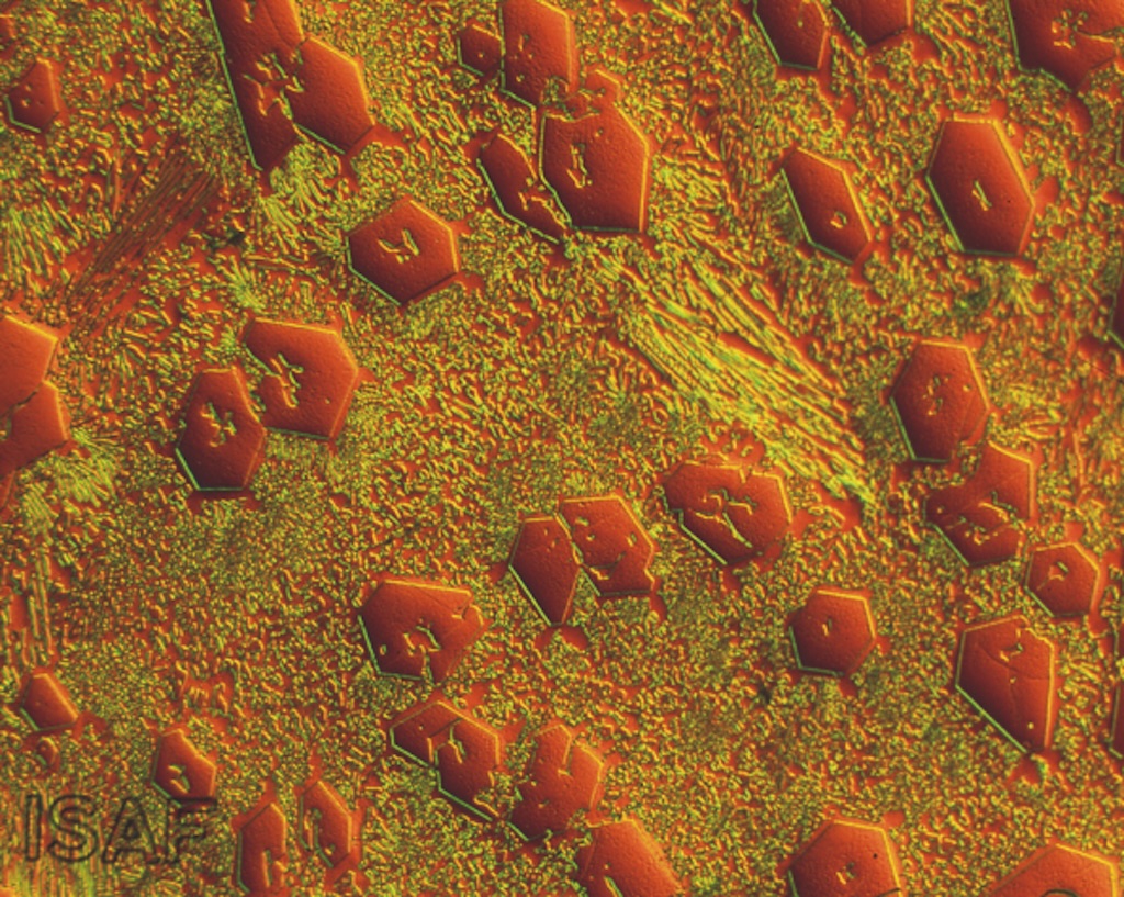 Microskopaufnahme von DURMAT FD60 Fülldrahtpanzerung