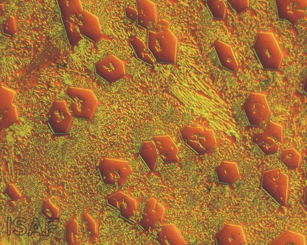Microskopaufnahme von DURMAT FD60 Fülldrahtpanzerung